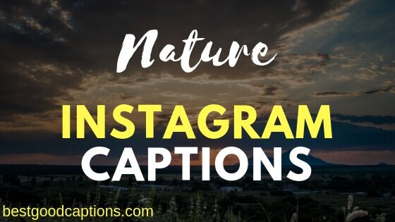 Nature Captions for Instagram