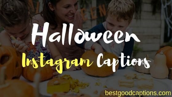 200+】Funny Halloween Captions for Instagram Quotes 2023