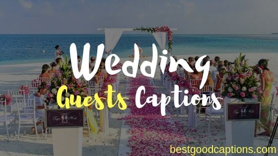 Wedding Guests captions