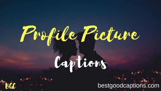 500+】Instagram Quotes On Captions For Profile Picture 2023