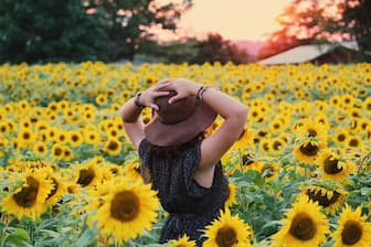 Sunflower Captions for Instagram 2023 - [100+ Aesthetic List!]