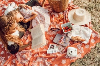 Picnic Captions for Instagram Post
