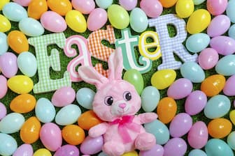 Easter Bunny Captions for Instagram Quotes