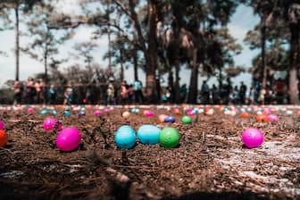 Funny Easter Egg Hunt Quotes
