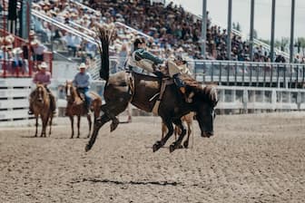 Rodeo Captions for Instagram Post